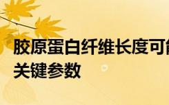 胶原蛋白纤维长度可能是正常细胞用于侵袭的关键参数