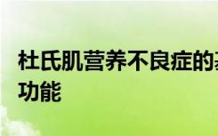 杜氏肌营养不良症的基因疗法可安全保留肌肉功能