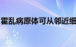 霍乱病原体可从邻近细菌中获取大量遗传物质