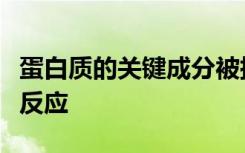 蛋白质的关键成分被扭曲以增强对医学有用的反应