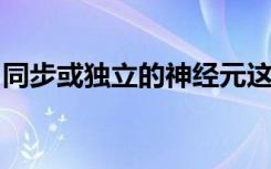 同步或独立的神经元这是大脑编码信息的方式