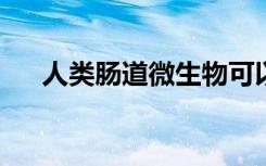 人类肠道微生物可以使加工食品更健康