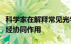 科学家在解释常见光学错觉的过程中发现了神经协同作用