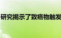 研究揭示了致癌物触发乳腺癌发展的多种方式