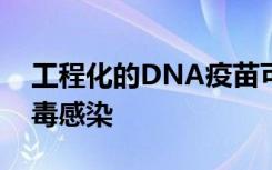 工程化的DNA疫苗可预防新兴的Mayaro病毒感染