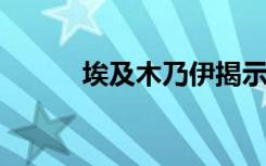 埃及木乃伊揭示的持久防腐食谱