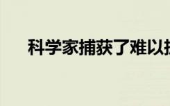 科学家捕获了难以捉摸的癌症相关蛋白