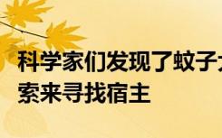 科学家们发现了蚊子大脑如何整合各种感官线索来寻找宿主