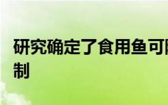 研究确定了食用鱼可降低心血管疾病风险的机制