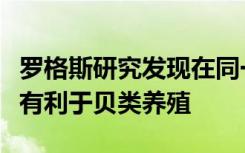 罗格斯研究发现在同一地区饲养多种鱼类可能有利于贝类养殖