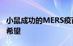 小鼠成功的MERS疫苗有望为COVID-19带来希望