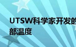 UTSW科学家开发的新型降温鞋垫可降低足部温度