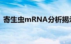 寄生虫mRNA分析揭示了疟疾传播的复杂性