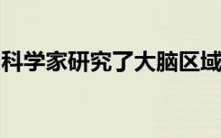 科学家研究了大脑区域如何交流以理解自闭症