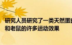 研究人员研究了一类天然蛋白质 发现该蛋白质可以模仿苍蝇和老鼠的许多运动效果