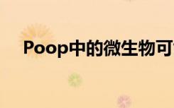 Poop中的微生物可能有助于治疗皮肤癌