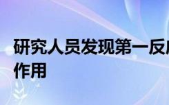 研究人员发现第一反应细胞对脑损伤具有调节作用