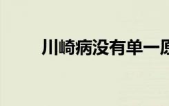 川崎病没有单一原因 而是多种诱因