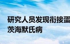 研究人员发现衔接蛋白CD2AP可能治疗阿尔茨海默氏病