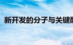 新开发的分子与关键酶袋结合以抑制其活性