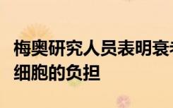 梅奥研究人员表明衰老药物可以降低人体衰老细胞的负担