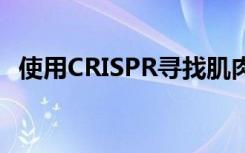 使用CRISPR寻找肌肉营养不良的治疗方法