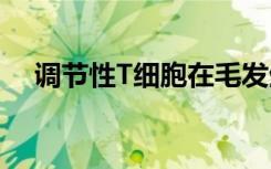 调节性T细胞在毛发生长中发挥重要作用