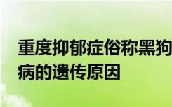 重度抑郁症俗称黑狗 已被确定为20种不同疾病的遗传原因