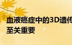 血液癌症中的3D遗传结构对DNA代码的改变至关重要