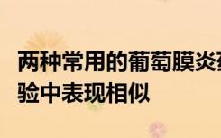 两种常用的葡萄膜炎药物在NIH资助的临床试验中表现相似