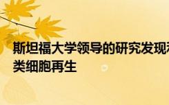 斯坦福大学领导的研究发现利用干细胞技术可以使衰老的人类细胞再生