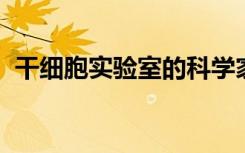 干细胞实验室的科学家最近分享了肋骨配方