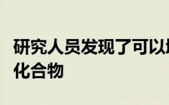 研究人员发现了可以增加单倍体细胞稳定性的化合物