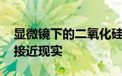 显微镜下的二氧化硅笼使热稳定的TB疫苗更接近现实