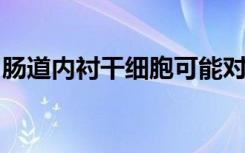 肠道内衬干细胞可能对癌细胞的行为产生影响