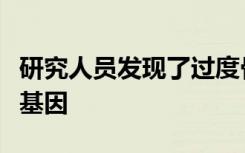 研究人员发现了过度骨骼组织生长罕见疾病的基因