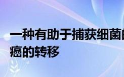 一种有助于捕获细菌的蛋白质可能有助于乳腺癌的转移