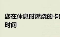 您在休息时燃烧的卡路里数量取决于一天中的时间