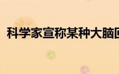 科学家宣称某种大脑回路会强迫您暴饮暴食