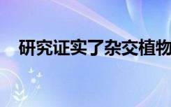 研究证实了杂交植物特殊健康的遗传原因