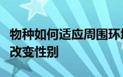 物种如何适应周围环境几种鱼类可以根据需要改变性别