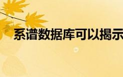 系谱数据库可以揭示大多数美国人的身份