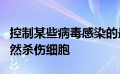 控制某些病毒感染的最重要细胞类型之一是自然杀伤细胞