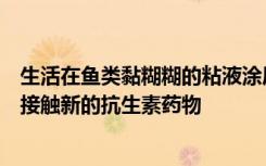 生活在鱼类黏糊糊的粘液涂层中的微生物可能会导致化学家接触新的抗生素药物