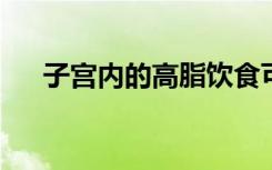 子宫内的高脂饮食可以预防老年痴呆症