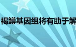 褐鳟基因组将有助于解释物种的遗传超级大国