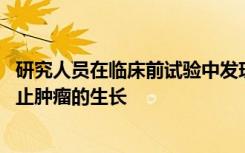 研究人员在临床前试验中发现了一种候选药物 它可以完全阻止肿瘤的生长