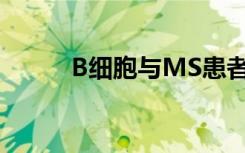 B细胞与MS患者的大脑病变有关