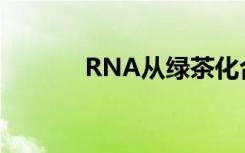 RNA从绿茶化合物中获得帮助