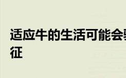 适应牛的生活可能会驱使大肠杆菌产生有害特征